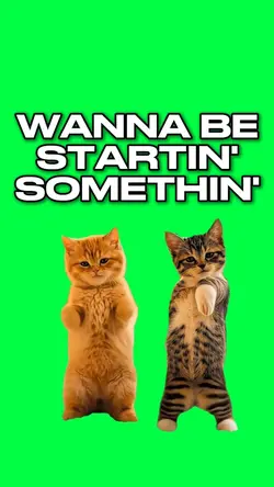 KITTENS BE STARTIN'