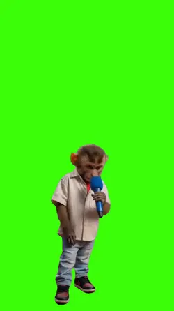 Macaco/Mono.