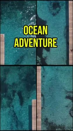 Ocean adventure