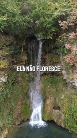 Raízes profundas! 
