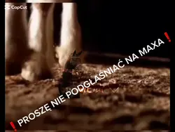 moja muzyka!