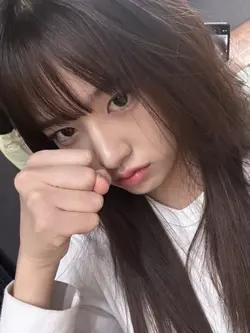 프리지아
