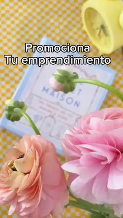 Mi emprendimiento ⚡️