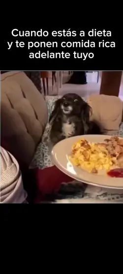 DIETA