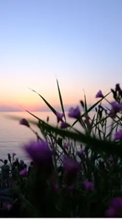 sunset in spring
