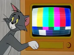 gato assustado