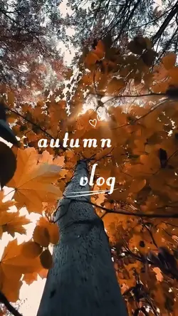 autumn vlog