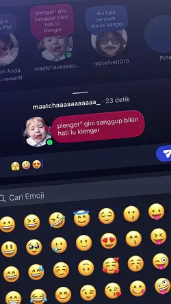 plenger plenger gini