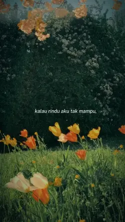 sesi potret