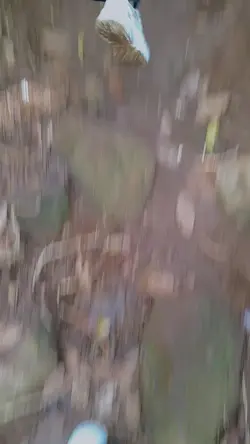 tanpa tanda air