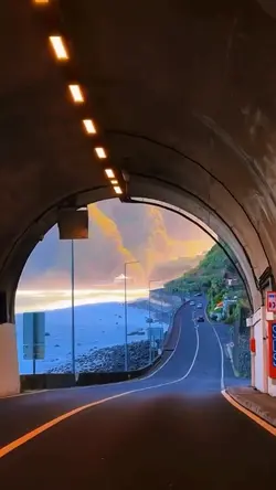Travel Dump