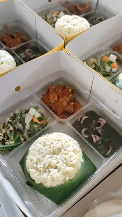 nasi box