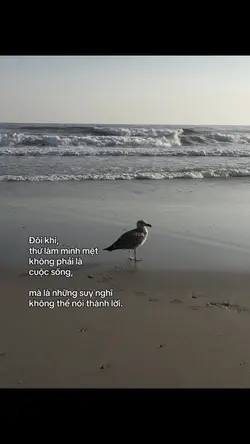 doi khi