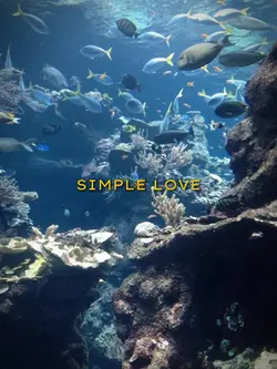 [9] SIMPLE LOVE
