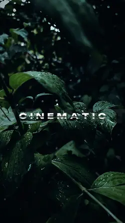 cinematic 7 video