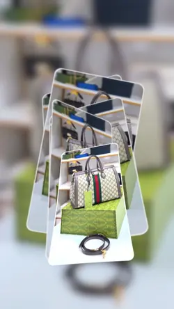 Luxury Bag 