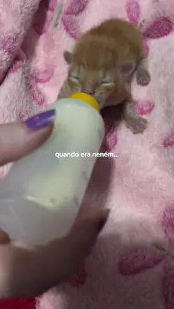 quando eu era neném