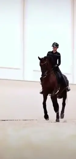 Dressage