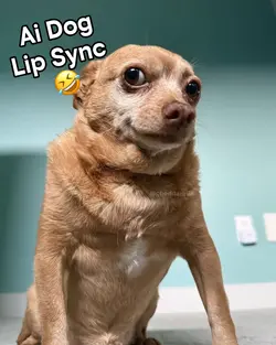 Talking Dog Ai