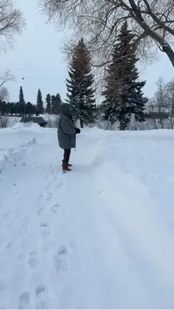 2026 in canada🇨🇦🇨🇦