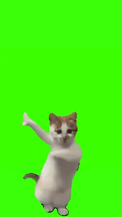 trend kucing joget