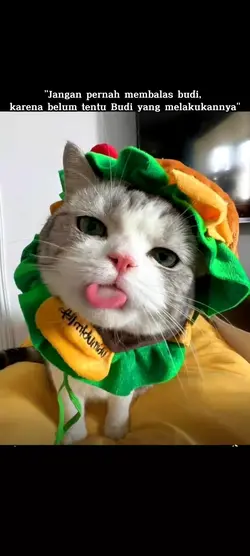 sakitu