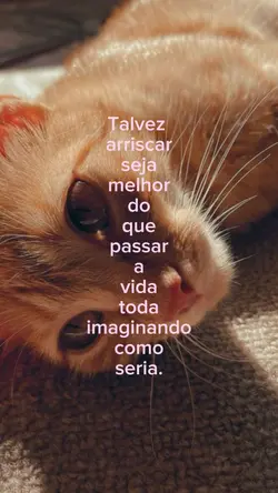 talvez seja melhor
