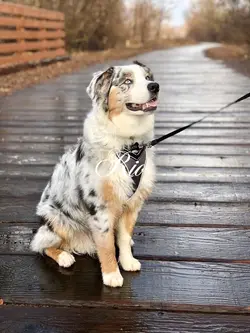 Rio 🥰🫶🏼😍