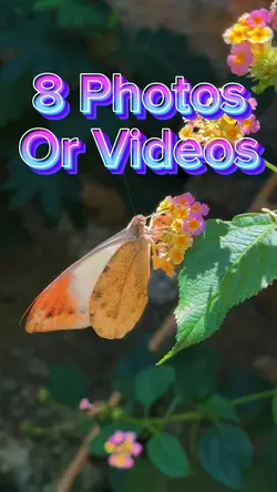 8 Photo Slides