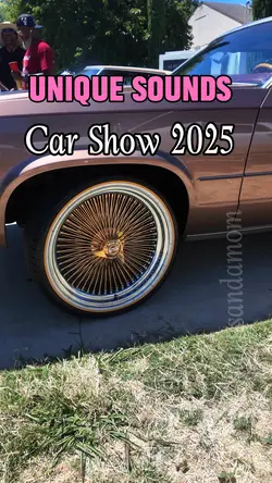 Car show Vubes 