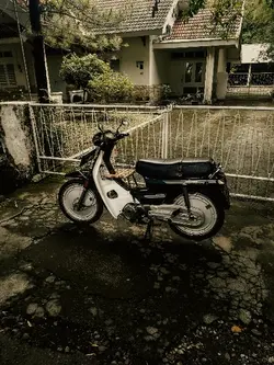 vintage