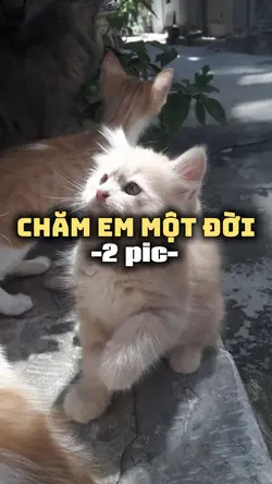 2pic