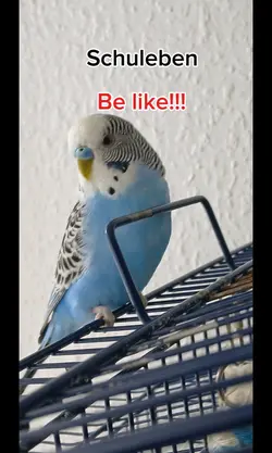 Nei  is bei jeden so