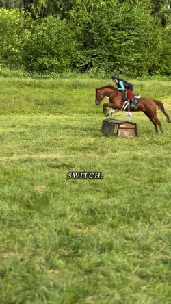 switch