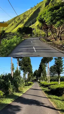 kolase 30 second