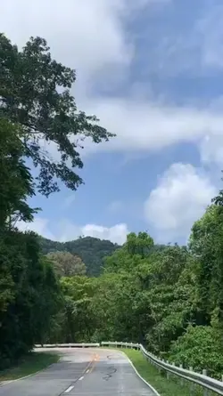 Nature Trip 