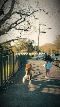 Friendship with dog