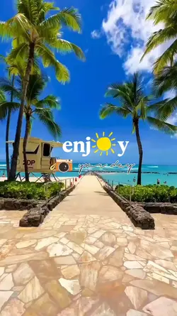 mini vlog