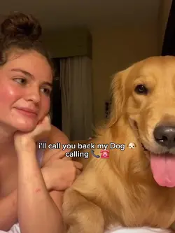 my pets calling