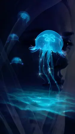 ENCHANTED 