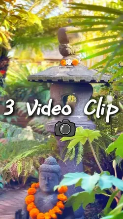 3 Video Clip