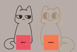 Ship Dynamic