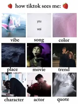 How TikTok sees me