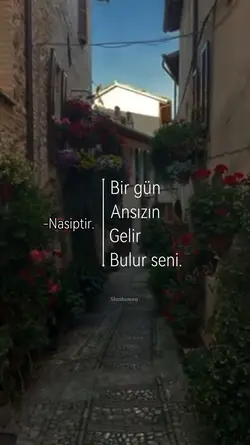 Nasip