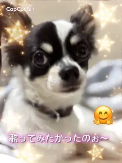 APT歌う