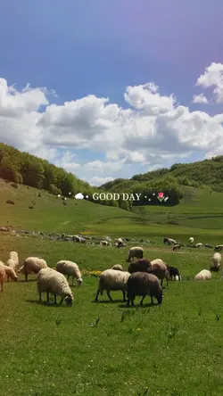 Good day 5 videos 