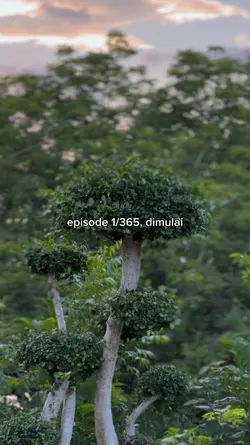 episod 1/365 dimulai