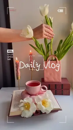 Daily vlog