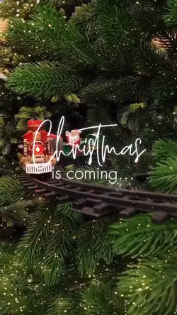 Christmas is coming
