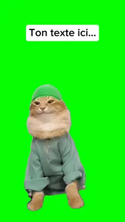 tab tabi tab cat